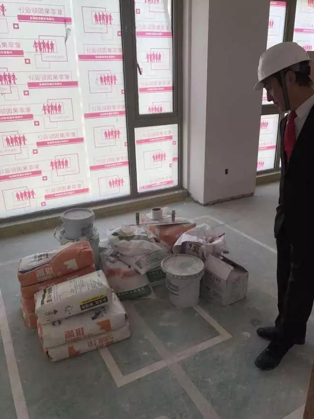 無錫紫蘋果裝飾