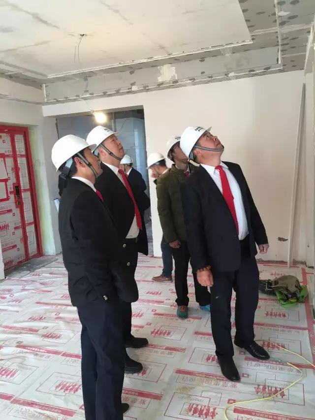 無錫紫蘋果裝飾